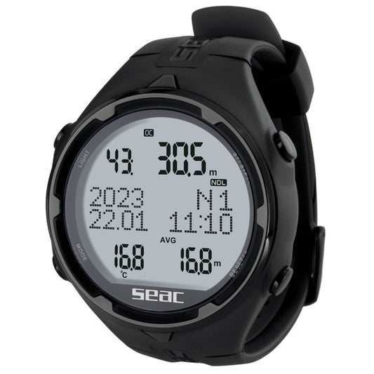 Computadora de Recursos Humanos de Seac Action